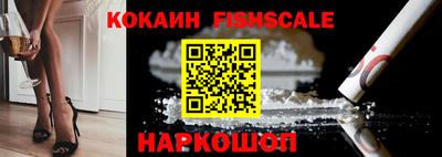 mdpv Гатчина