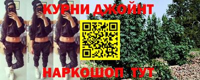 mdpv Гатчина