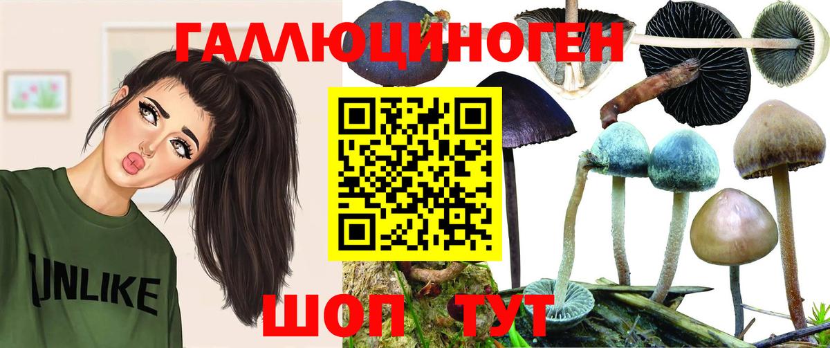 где продают   Вход с VPN  Вольск  Галлюциногенные грибы ЛСД 